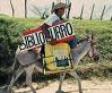 Biblioburro